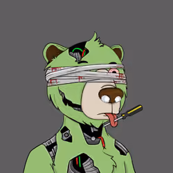 Bears Not Okay #3898