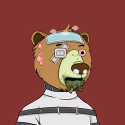 Bears Not Okay #667