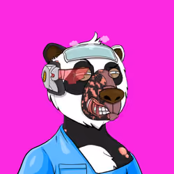 Bears Not Okay #3053