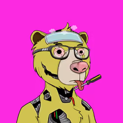 Bears Not Okay #3142