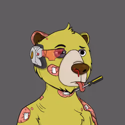 Bears Not Okay #245