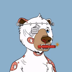Bears Not Okay #3130