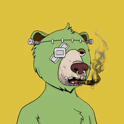 Bears Not Okay #1226