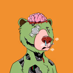 Bears Not Okay #3722