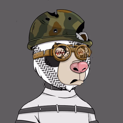 Not Okay Bears V2 2