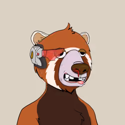 Bears Not Okay #471