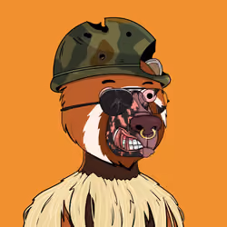 Bears Not Okay #2966