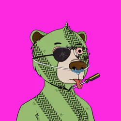 Bears Not Okay #661