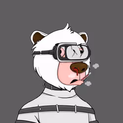 Bears Not Okay #3405