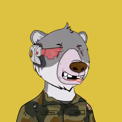 Bears Not Okay #3393