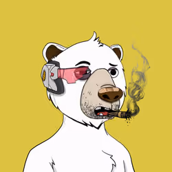 Bears Not Okay #236