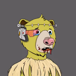 Bears Not Okay #997