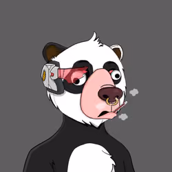 Bears Not Okay #1112