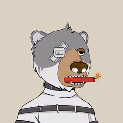 Bears Not Okay #1867