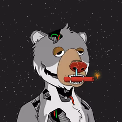 Bears Not Okay #428