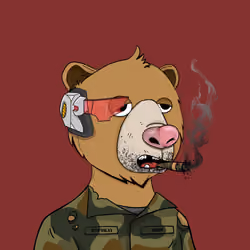 Bears Not Okay #168
