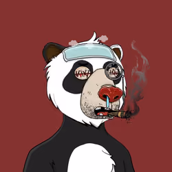 Bears Not Okay #3695