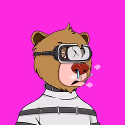 Bears Not Okay #1308