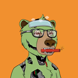 Bears Not Okay #996