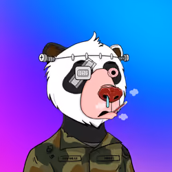 Bears Not Okay #3116