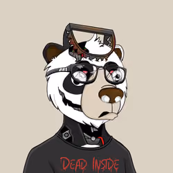 Bears Not Okay #1160