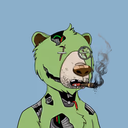 Bears Not Okay #2869
