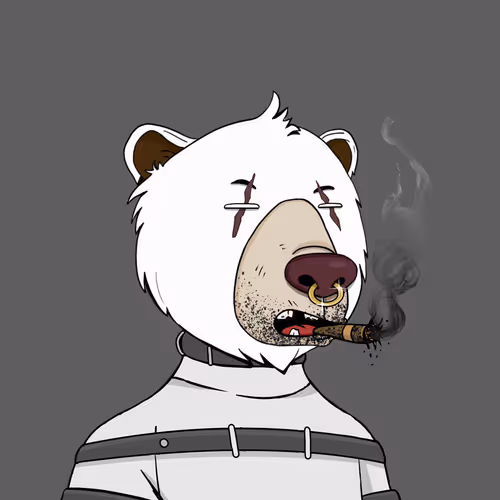 Not Okay Bears V2 2