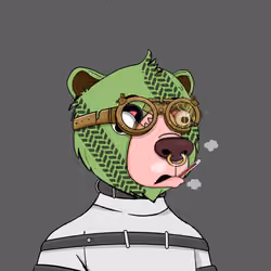 Bears Not Okay #447