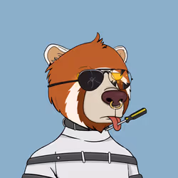 Bears Not Okay #1881