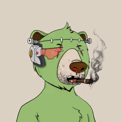 Bears Not Okay #1438