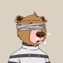 Bears Not Okay #1435