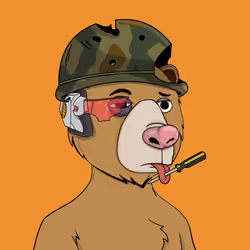 Bears Not Okay #3653