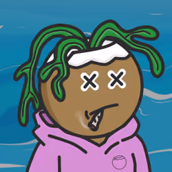 Coconutz #1573