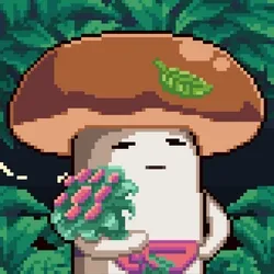 Mush #1125