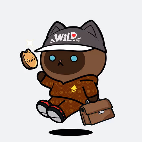 7duck.sol Solana Name Service (SNS and .sol domain) PFP