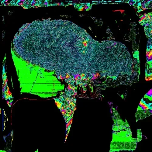 Item #3 Media