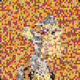 649