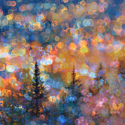 Landscape Of Presence