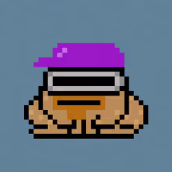 Toad Punks #4269