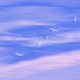 A Place We Dream Of 
