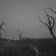 Loneliness - 3w3hEymCeS