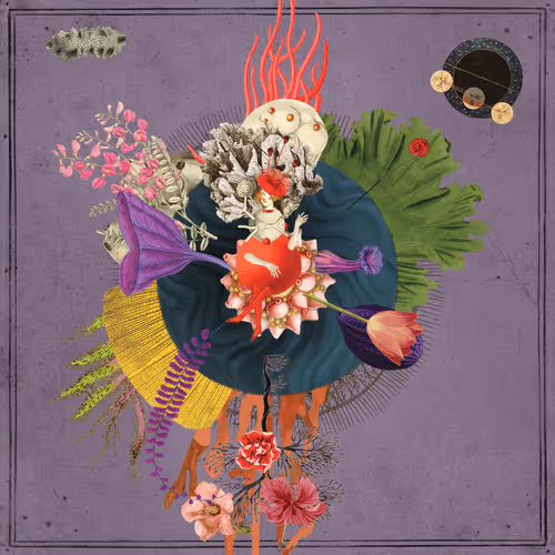 Preserved Seed #5967888
