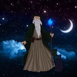 Wizard's Magic #1618