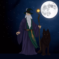 Wizard's Magic #1627