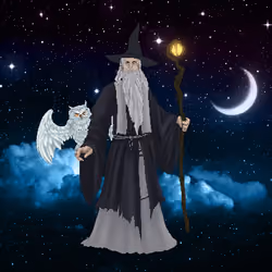 Wizard's Magic #3115