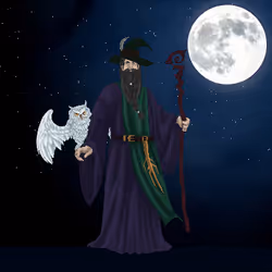 Wizard's Magic #1695