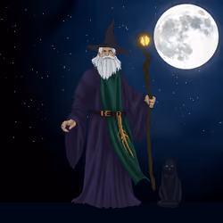 Wizard's Magic #1462