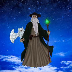 Wizard's Magic #1691