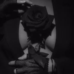 Paint it Black