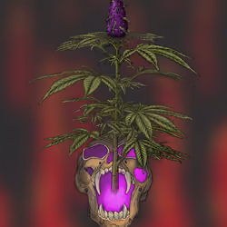 Death Bubba #16